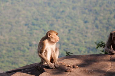 Similar image 10764003