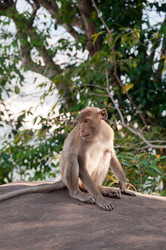 Similar image 10764004