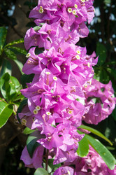 Similar image 10764006