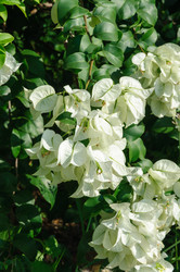 Similar image 10764007