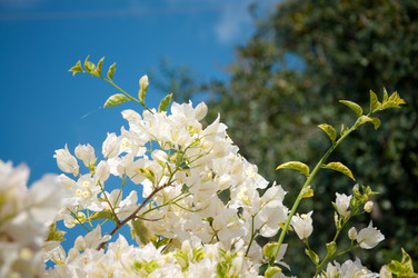 Similar image 10764011