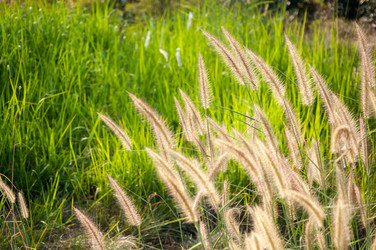 Similar image 10764022