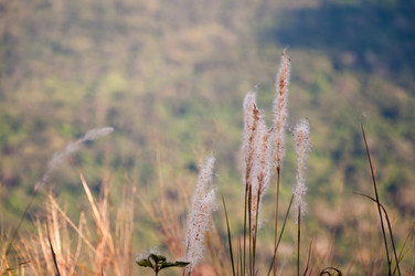 Similar image 10764068