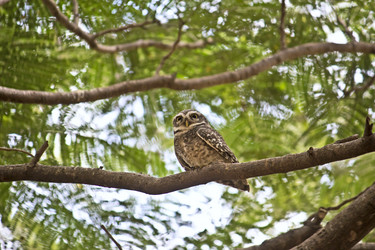 Similar image 10764119