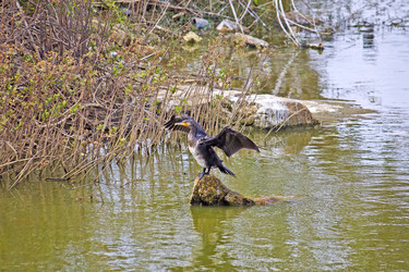 Similar image 10764130