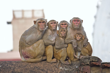 Similar image 10764164