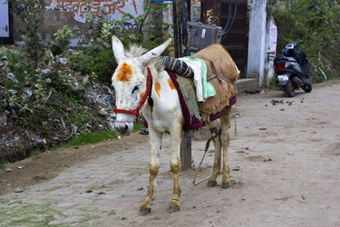 Similar image 10764171