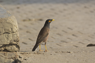 Similar image 10764236