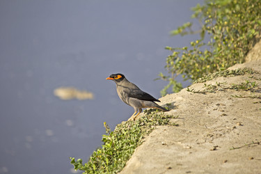 Similar image 10764266