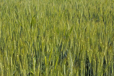 Similar image 10764267