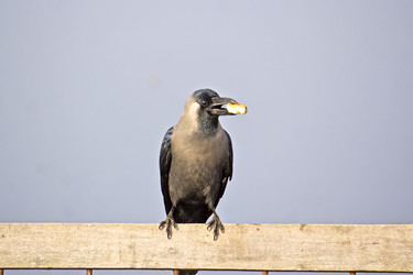 Similar image 10764268