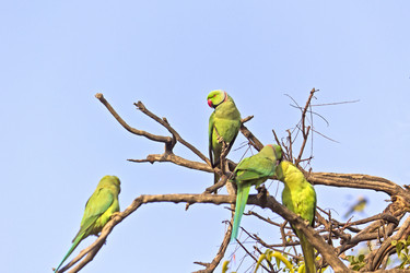 Similar image 10764270