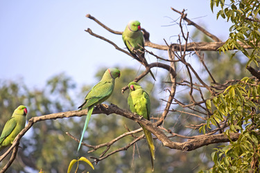 Similar image 10764271