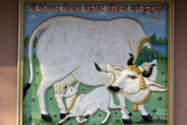 Similar image 10764300