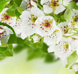 Similar image 10764616