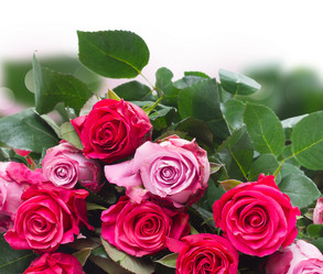 Similar image 10764622