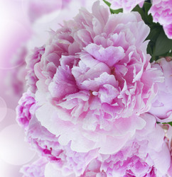 Similar image 10764626