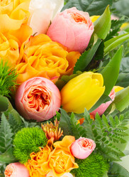 Similar image 10764657