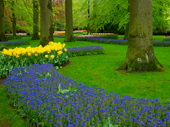 Similar image 10764668