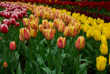 Similar image 10764670