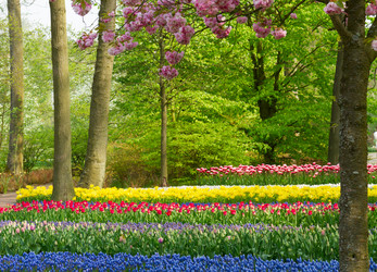 Similar image 10764671