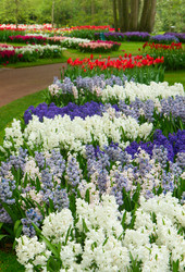 Similar image 10764672