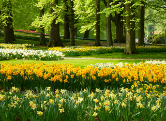 Similar image 10764673