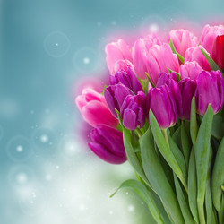 Similar image 10764676