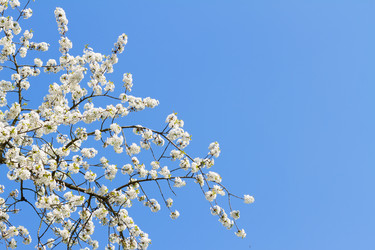 Similar image 10764742