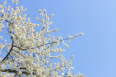 Similar image 10764743