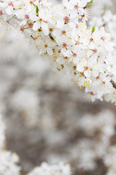 Similar image 10764745