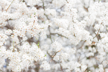 Similar image 10764746