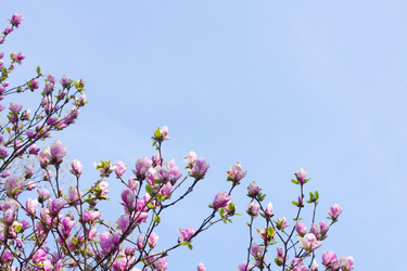 Similar image 10764775