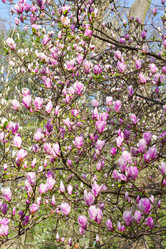 Similar image 10764778