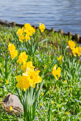 Similar image 10764780