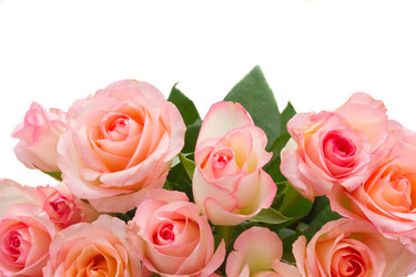 Similar image 10764825