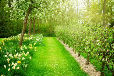 Similar image 10764844