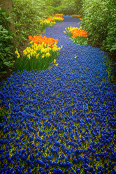 Similar image 10764846