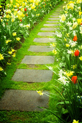 Similar image 10764849