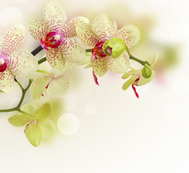 Similar image 10764933