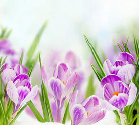 Similar image 10764937