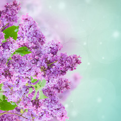 Similar image 10765002