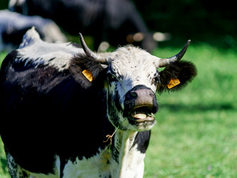 Similar image 10765158