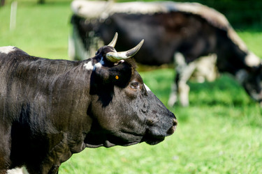 Similar image 10765160