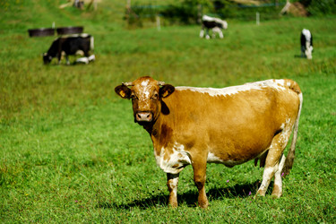 Similar image 10765162