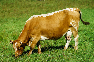 Similar image 10765164