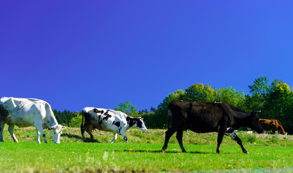 Similar image 10765165