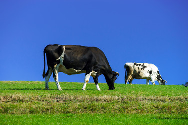 Similar image 10765167