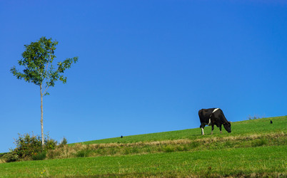 Similar image 10765168