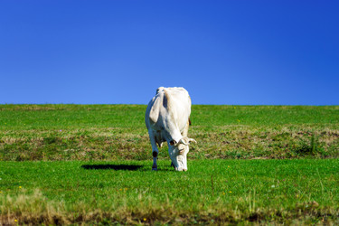 Similar image 10765171